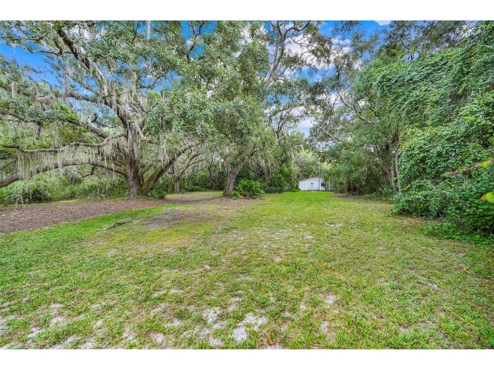 1440 Selman Road Leesburg FL 34748 - ROBINSON POND G5102097 image33