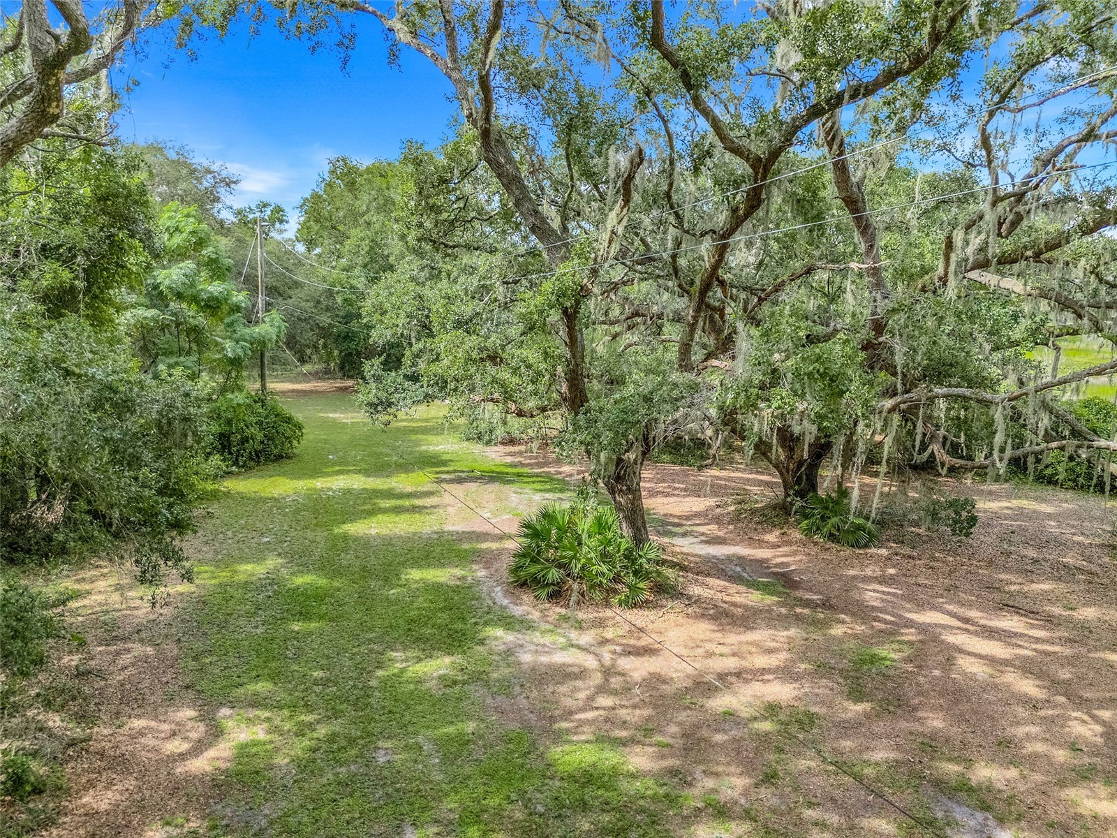 1440 Selman Road Leesburg FL 34748 - ROBINSON POND G5102097 image35