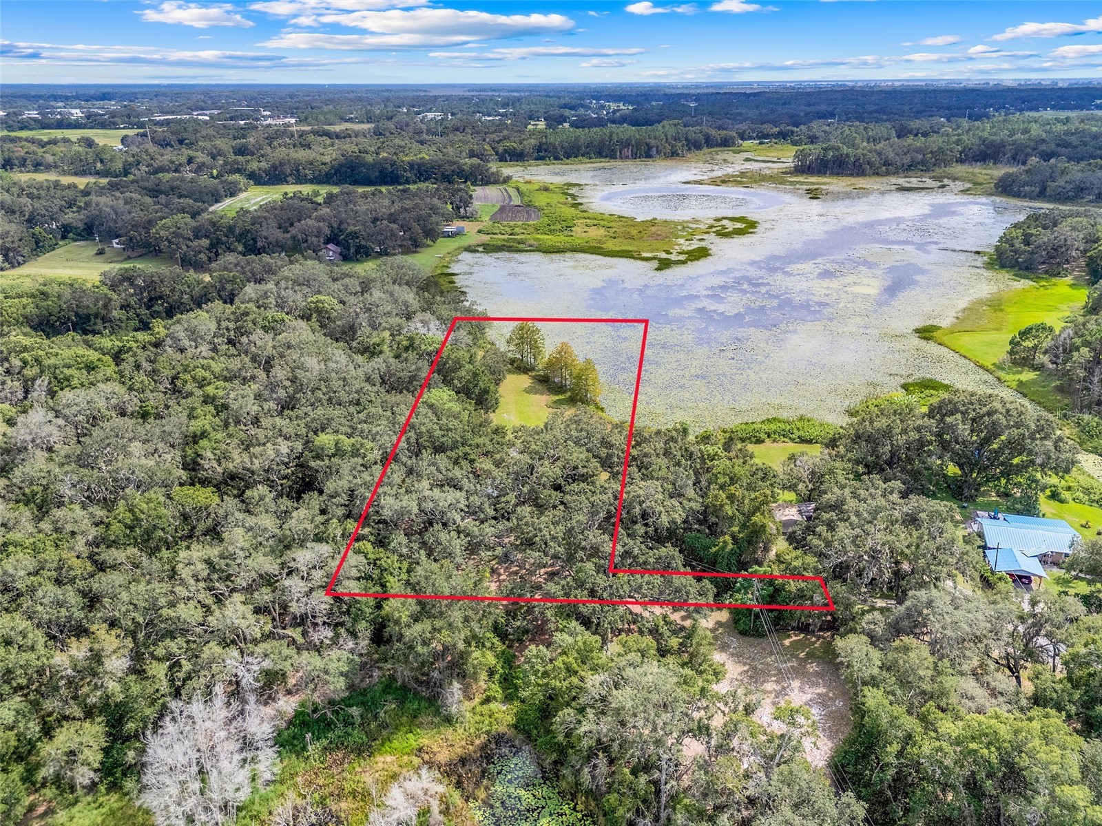 1440 Selman Road Leesburg FL 34748 - ROBINSON POND G5102097 image8