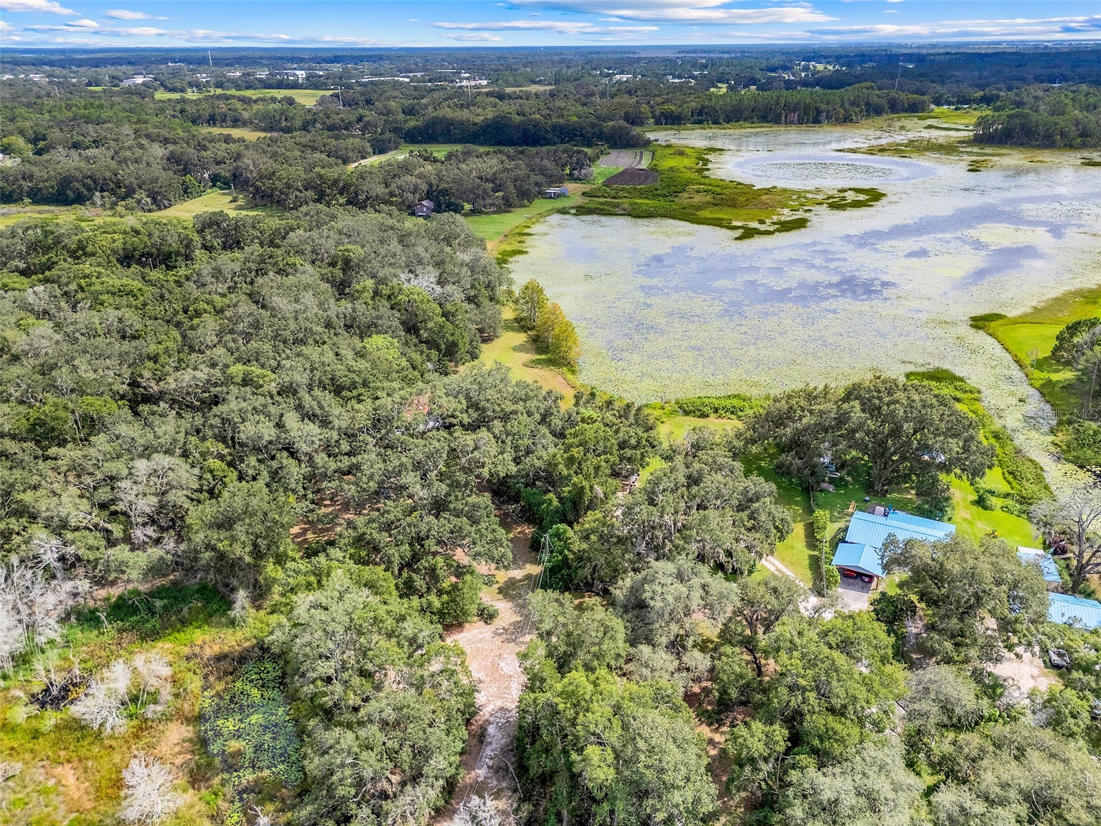 1440 Selman Road Leesburg FL 34748 - ROBINSON POND G5102097 image9