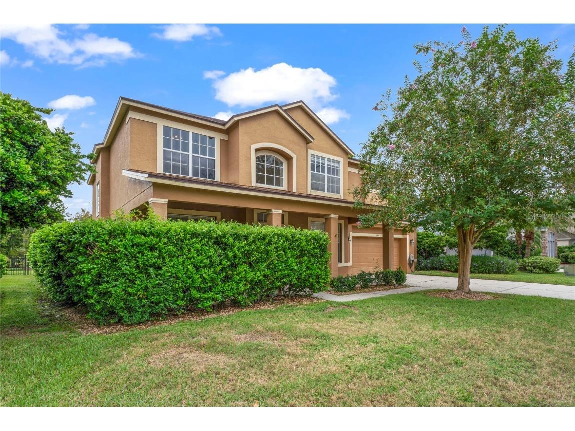 1440 Tawnyberry Court, Trinity, FL, 34655 MLS W7855168 Edina Realty