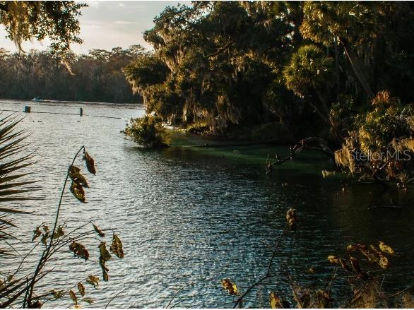 1440 Trinidad Street Deland FL 32720 O6372353 image18