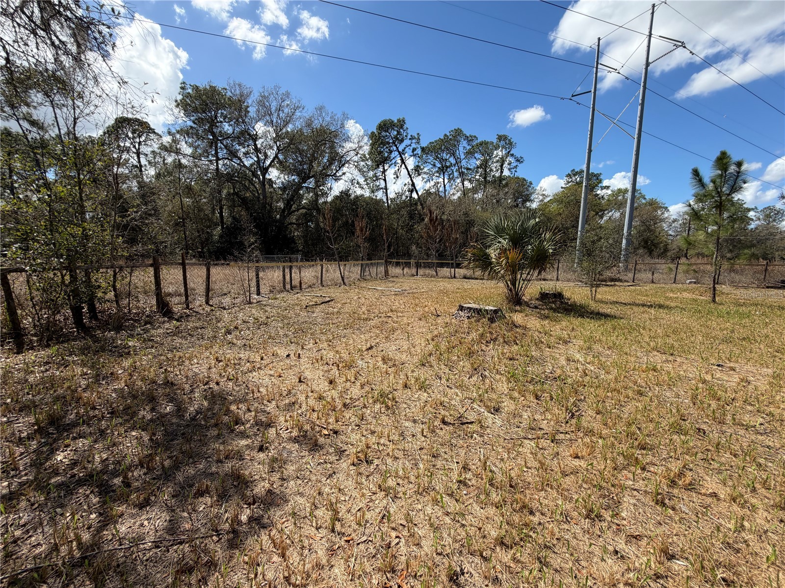 1440 Walker Road Lakeland FL 33810 TB8483201 image65