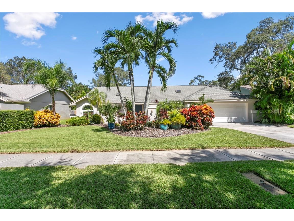 1440 Wetherington Way Palm Harbor FL 34683 U8215051 image1