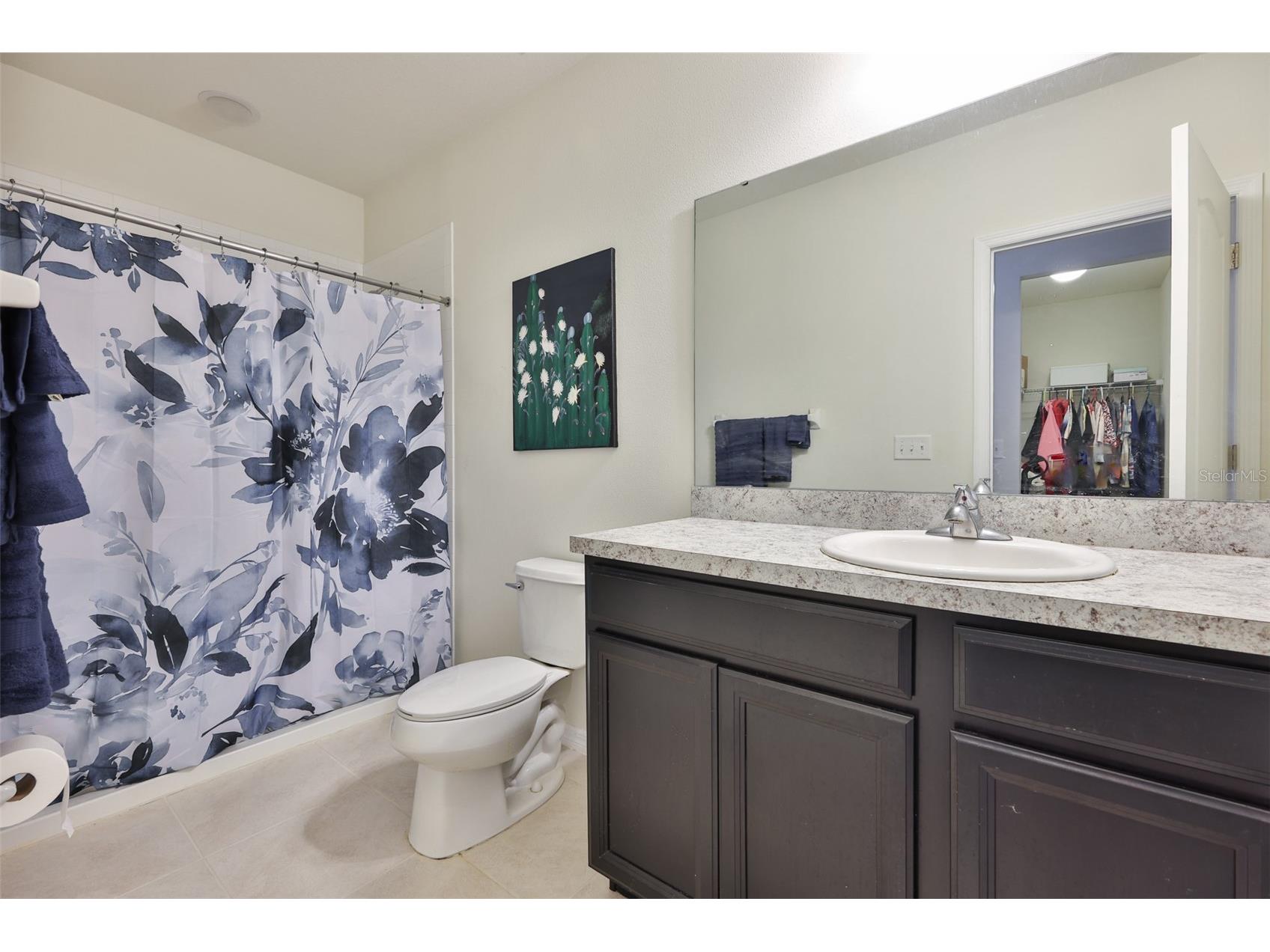 14401 Dunrobin Drive Wimauma FL 33598 TB8439691 image22