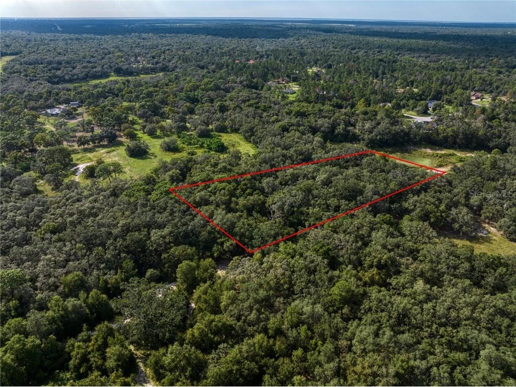14401 Family Trail Hudson FL 34669 O6244955 image1