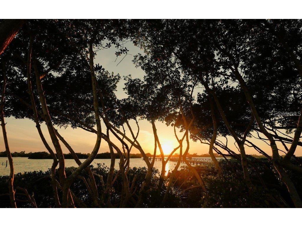 14401 Masthead Drive Osprey FL 34229 - LITTLE SARASOTA BAY A4684834 image96