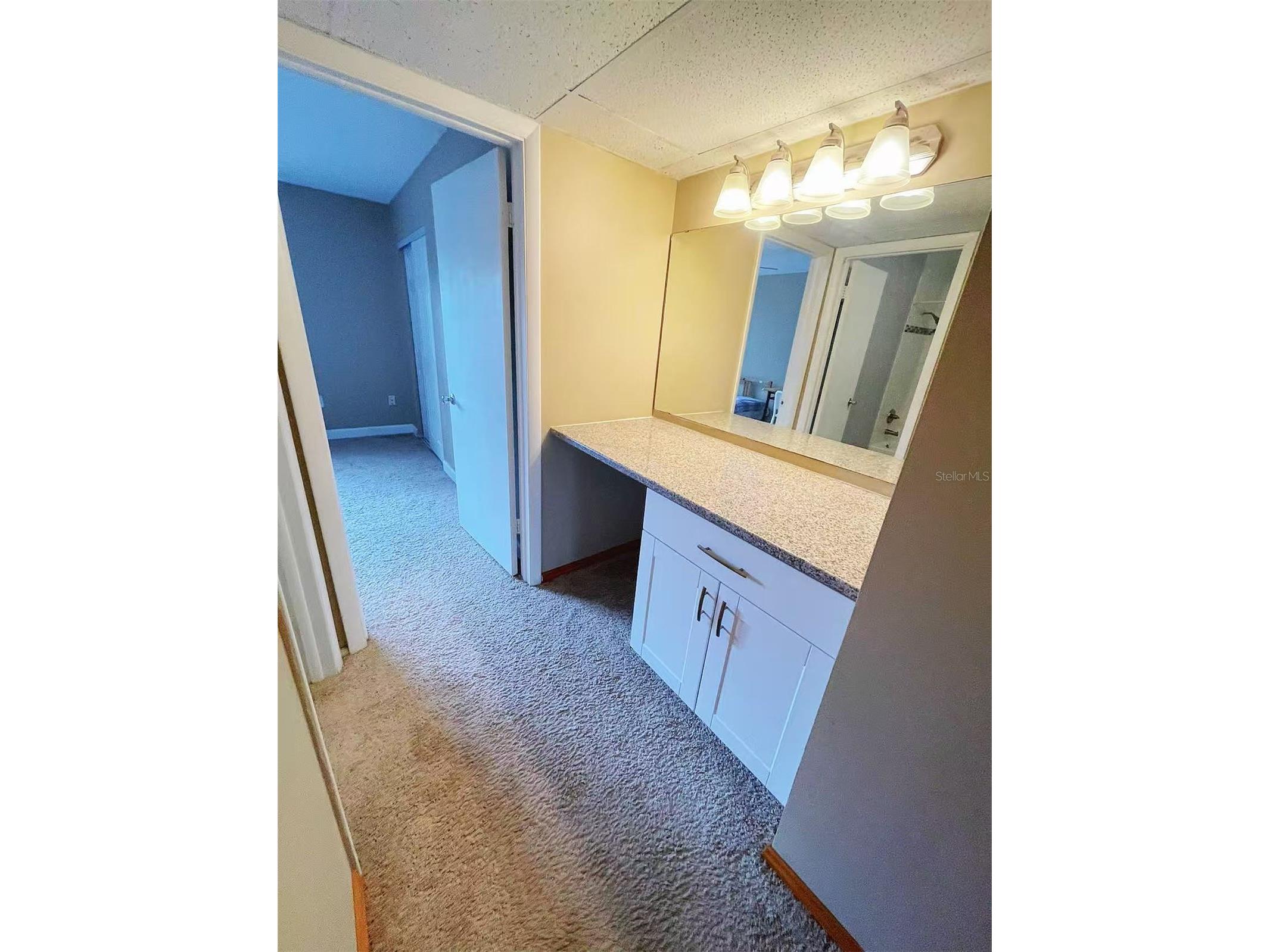 14402 Reuter Strasse Circle #223 Tampa FL 33613 TB8512111 image12