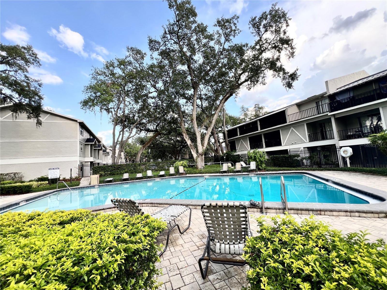 14402 Reuter Strasse Circle #223 Tampa FL 33613 TB8512111 image22