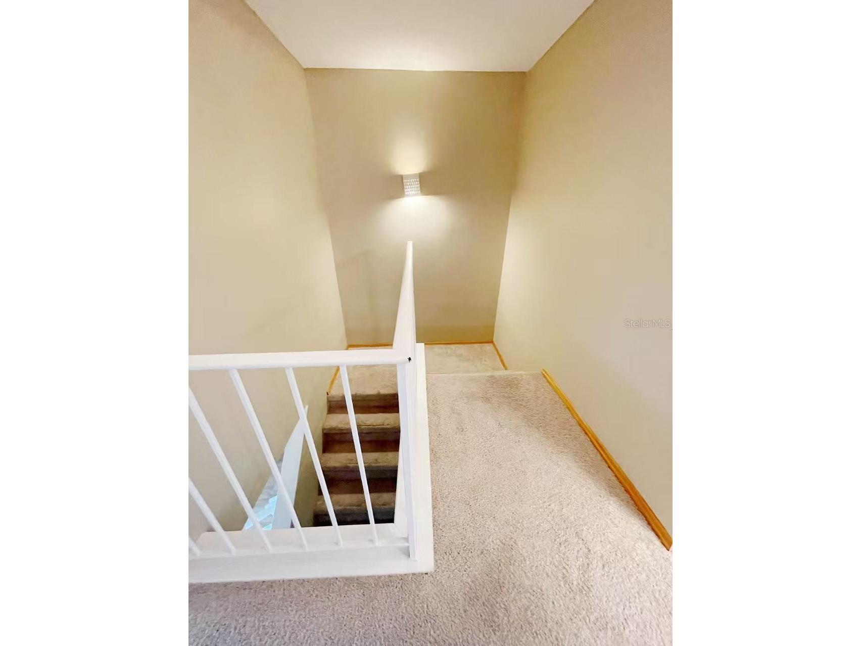 14402 Reuter Strasse Circle #223 Tampa FL 33613 TB8512111 image9