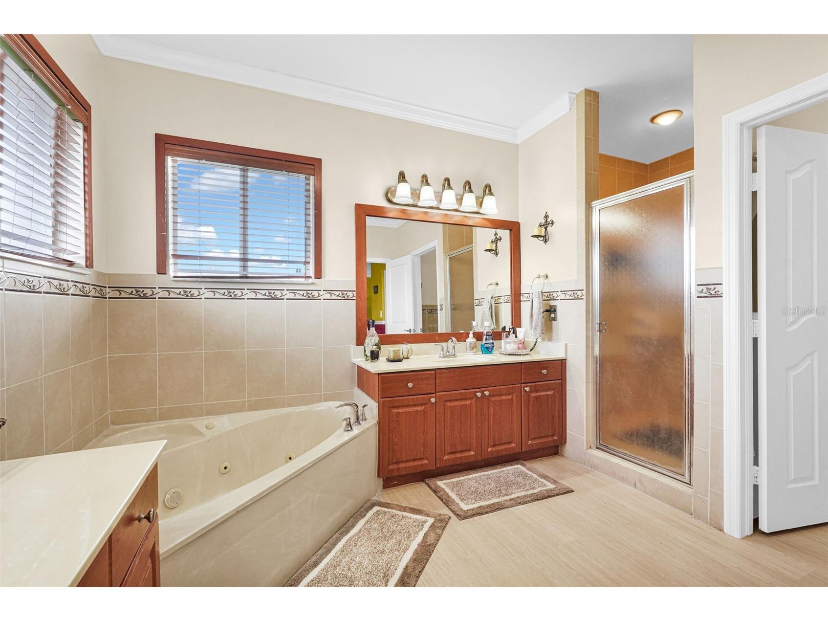 14402 SW 157th Path Miami FL 33196 OM708909 image33