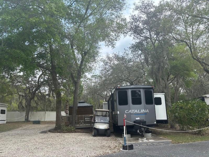 14403 252nd Court Road NE #128 Fort Mc Coy FL 32134 - LITTLE LAKE KERR OM721825 image2