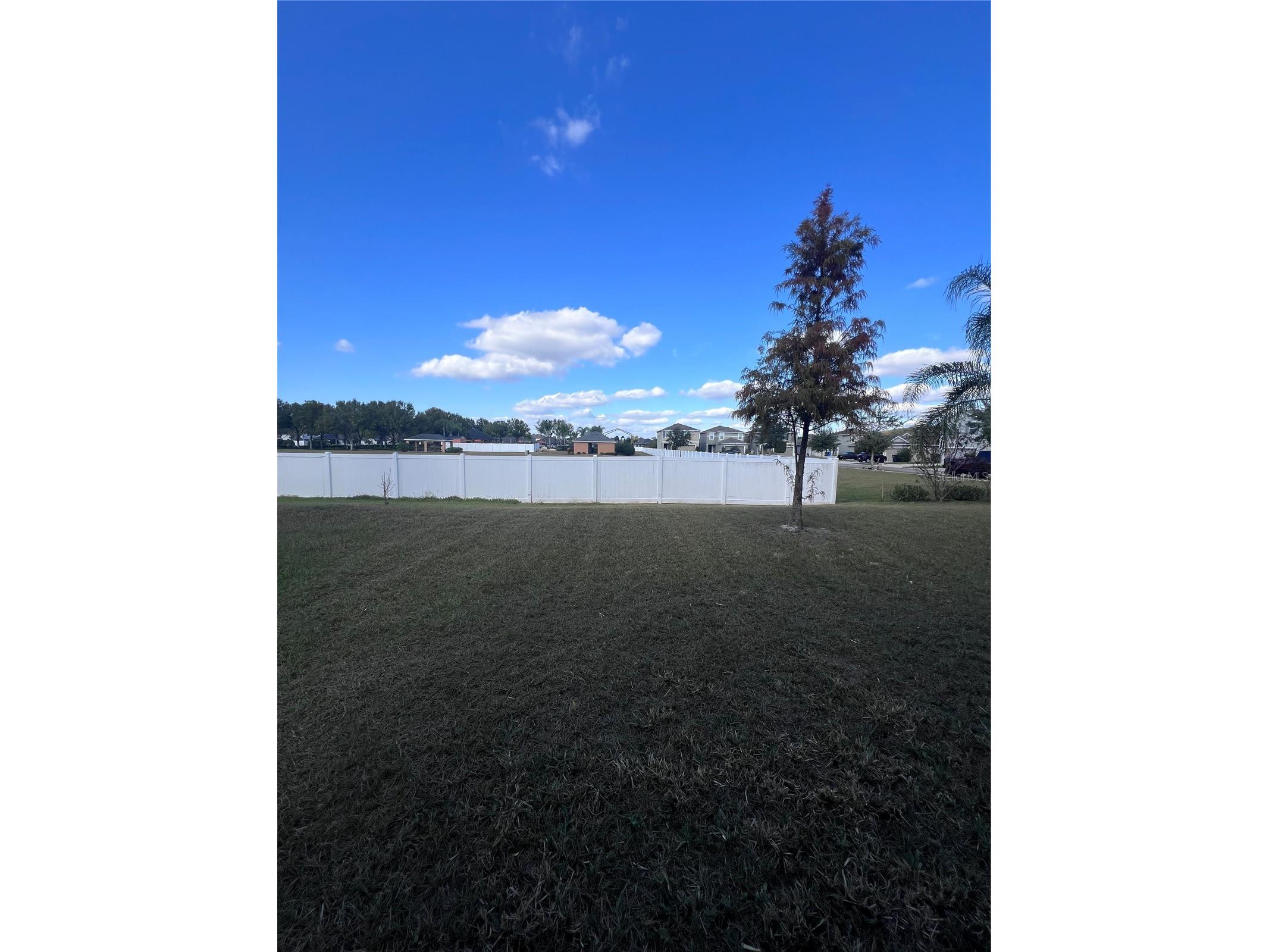 14403 Dunrobin Drive Wimauma FL 33598 TB8463287 image16