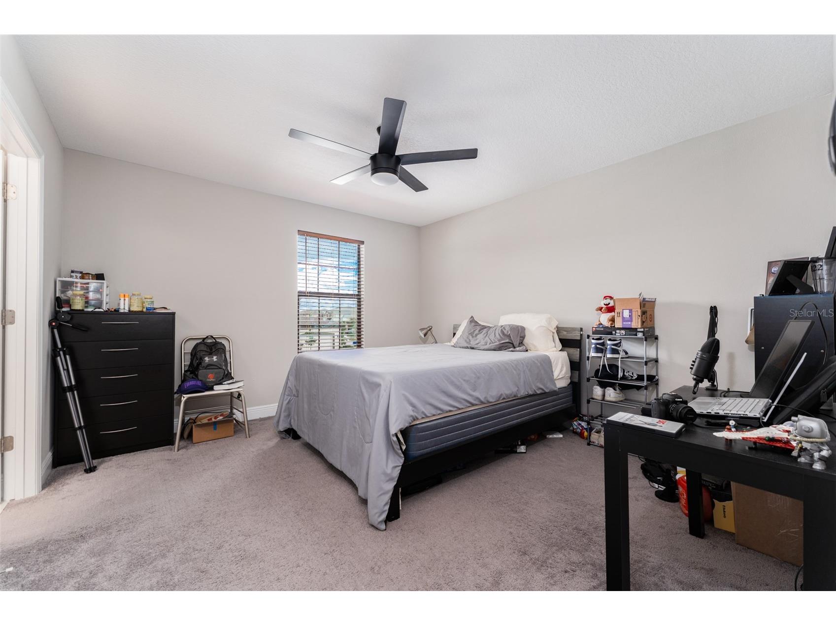 14403 Woodland Spur Dr Lithia FL 33547 TB8500460 image22