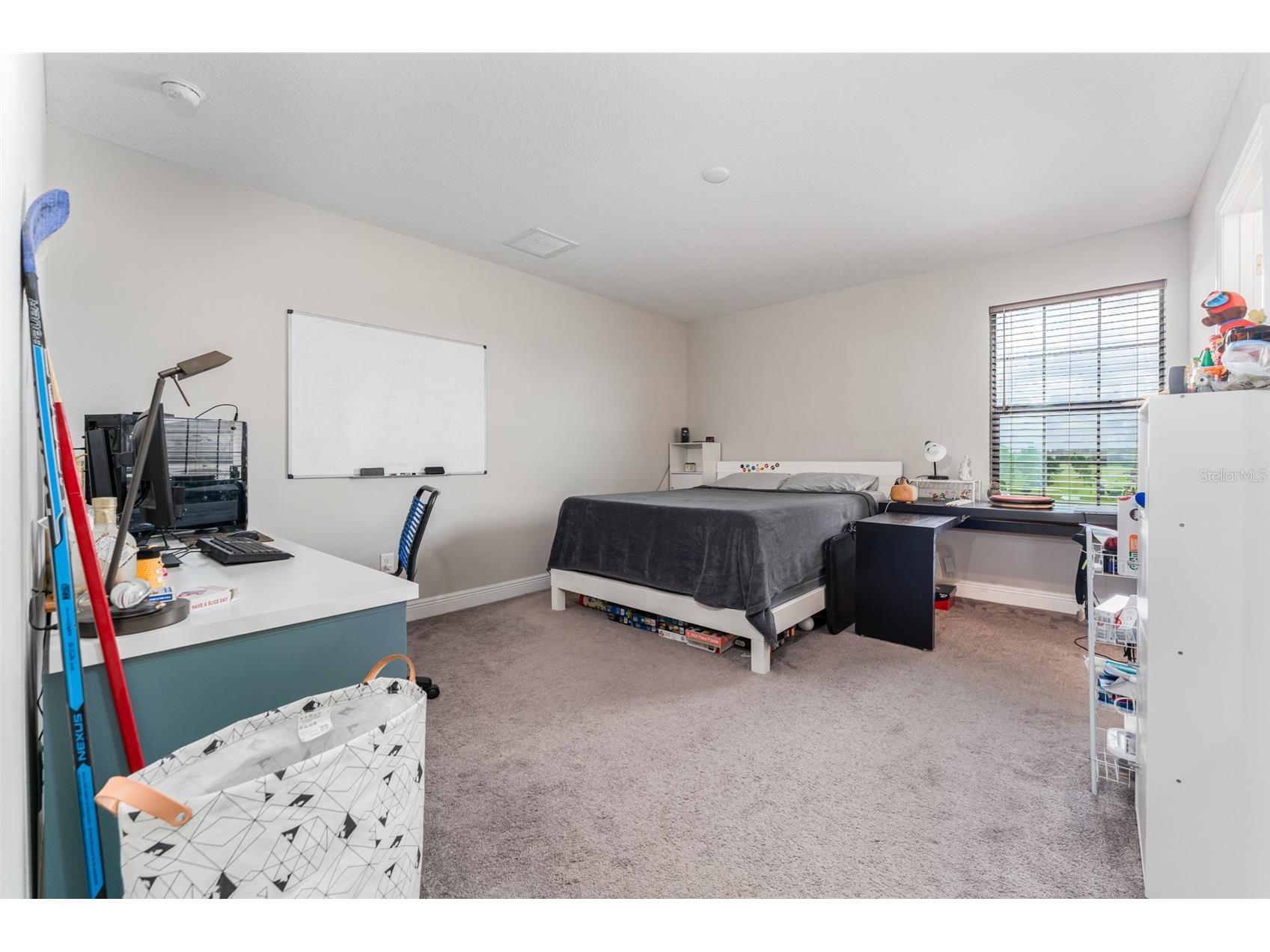 14403 Woodland Spur Dr Lithia FL 33547 TB8500460 image27