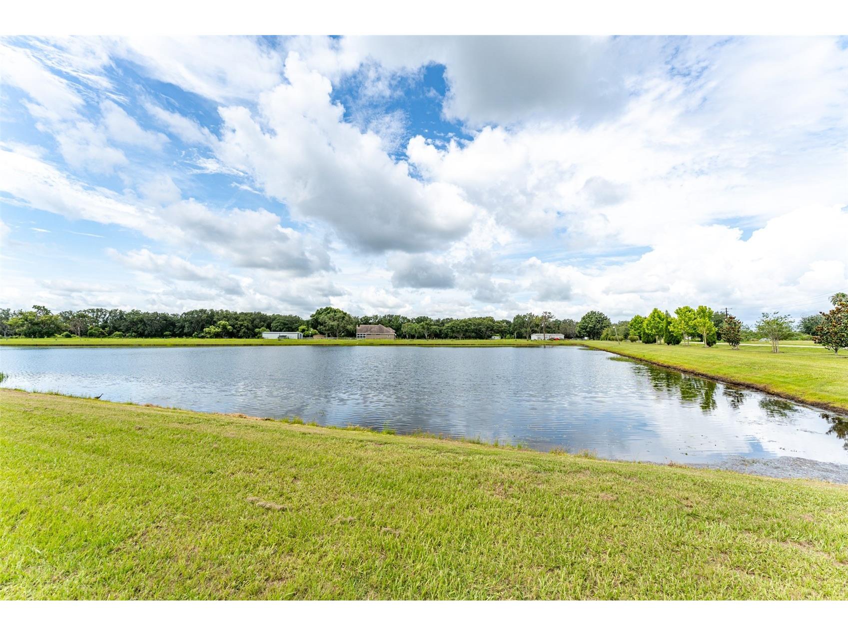 14403 Woodland Spur Dr Lithia FL 33547 TB8500460 image43