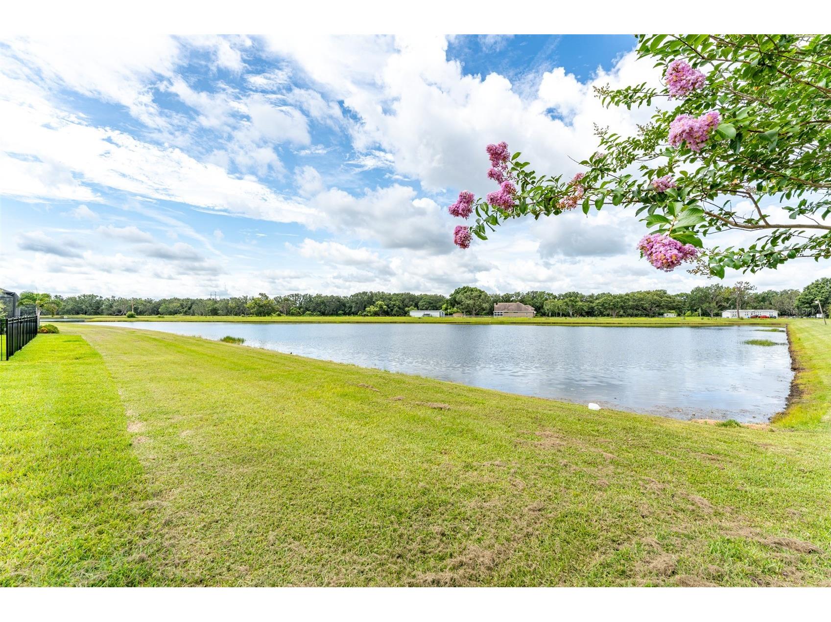 14403 Woodland Spur Dr Lithia FL 33547 TB8500460 image44