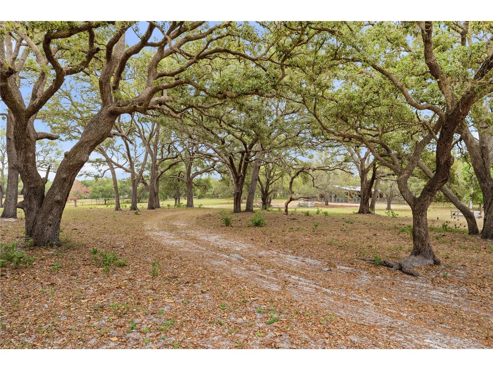 14405 Amy Lane Hudson FL 34669 W7884975 image7