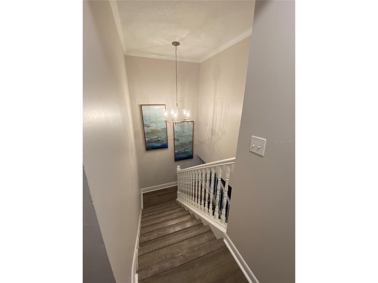 14405 Burgundy Square Tampa FL 33613 TB8524074 image11