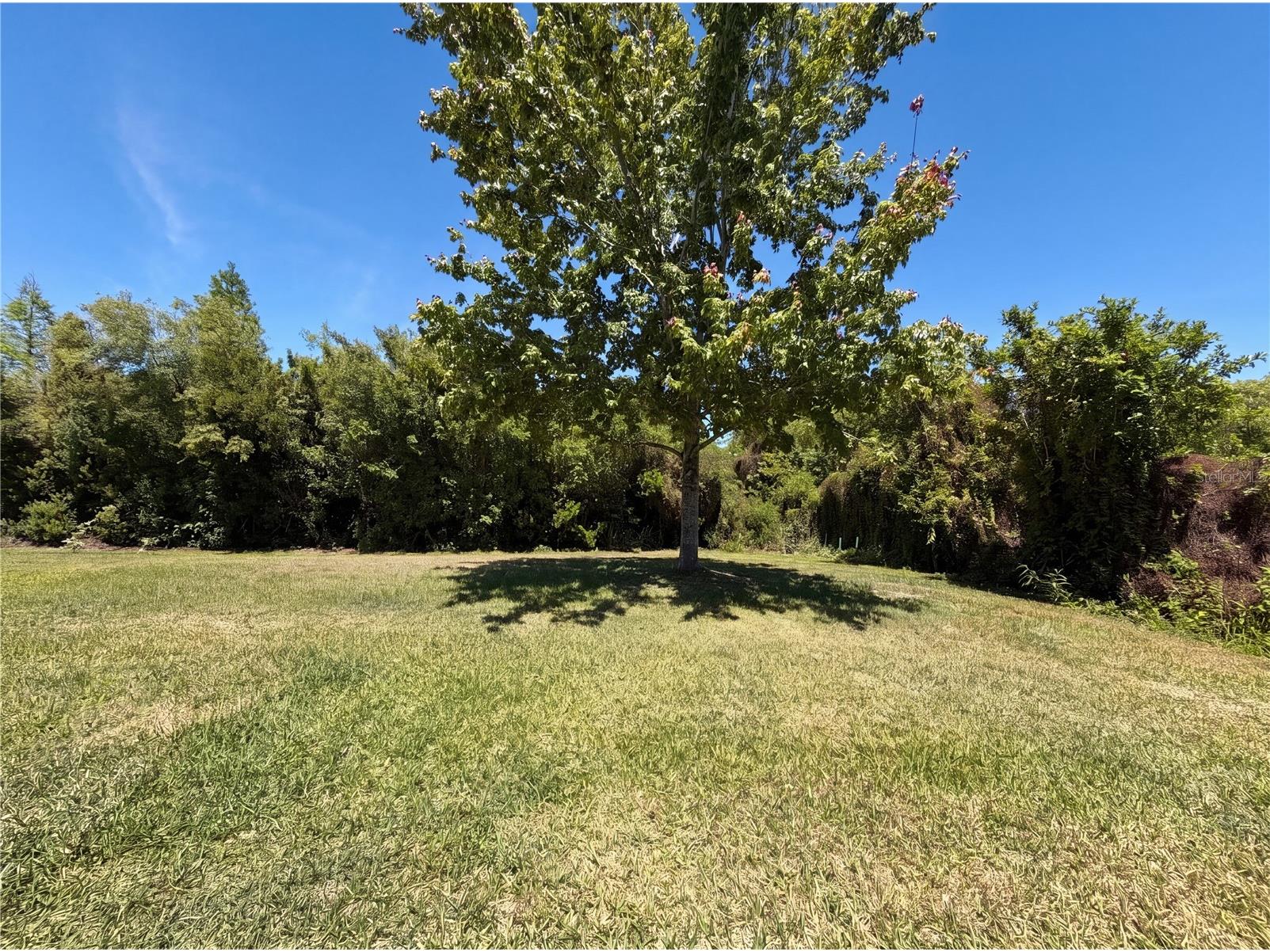 14405 Scottburgh Glen Drive Wimauma FL 33598 O6400847 image30
