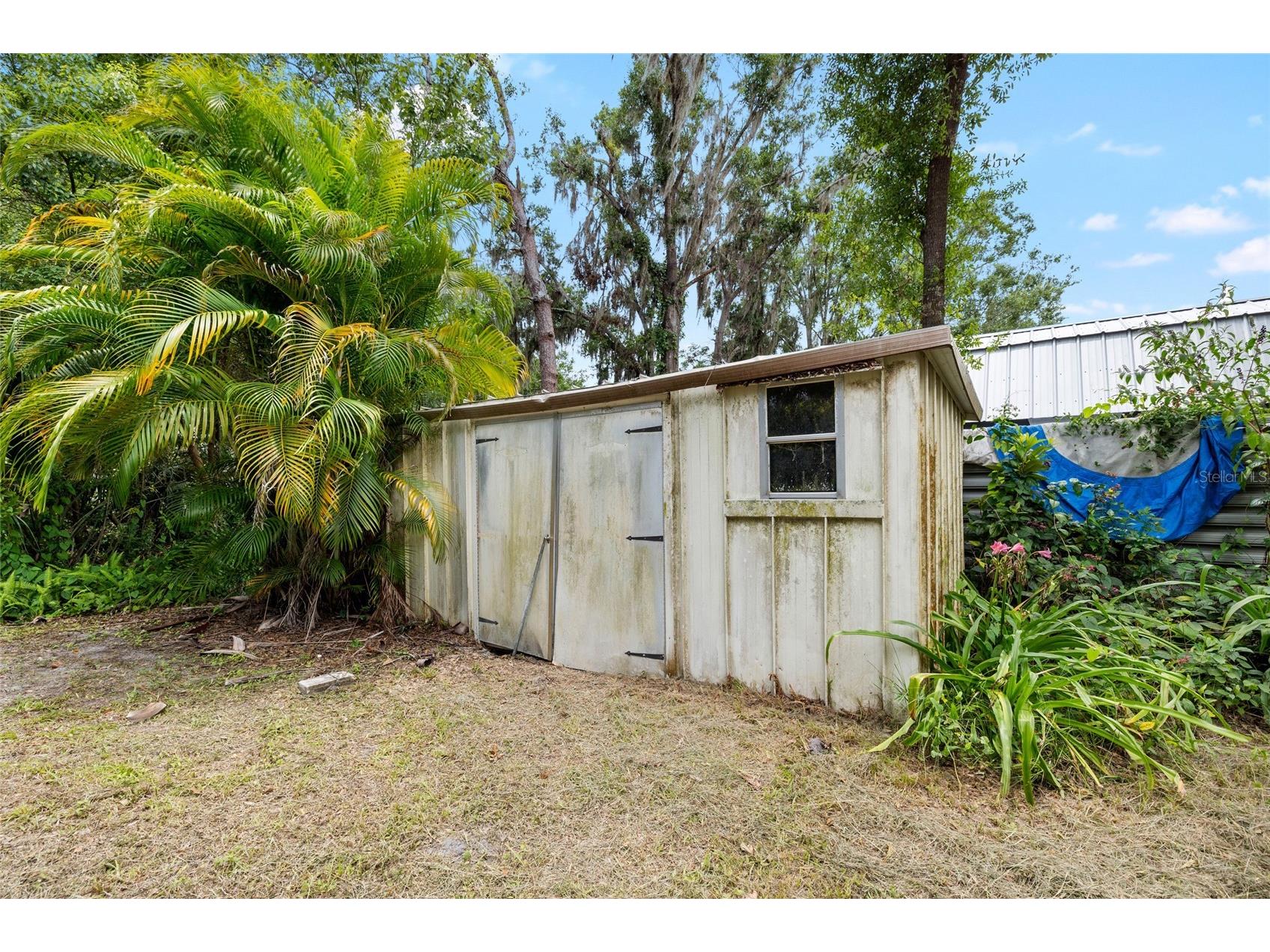 14406 Middlefield Lane Odessa FL 33556 TB8504213 image41