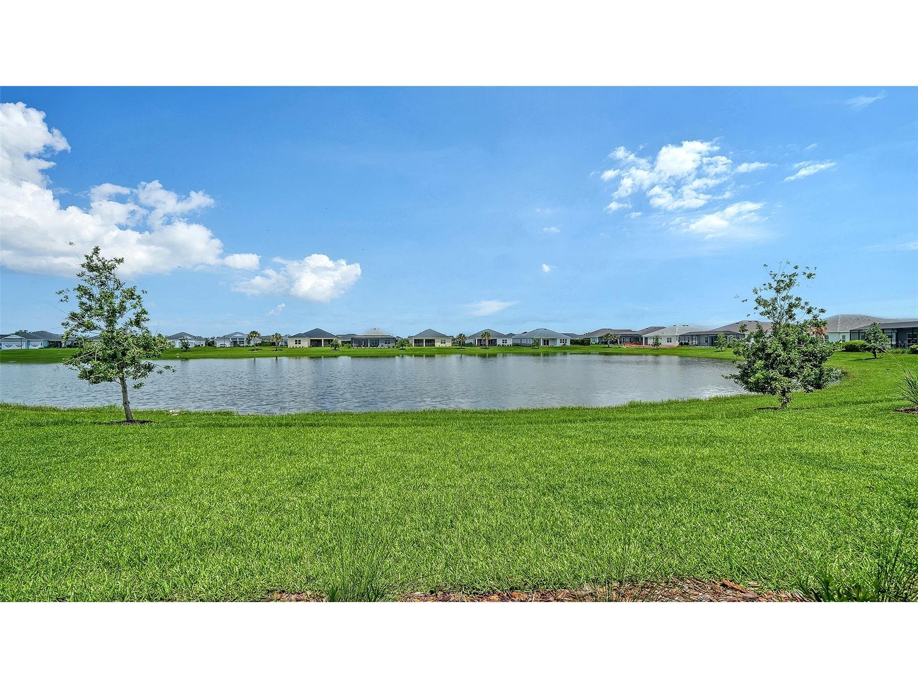14406 Skipping Stone Loop Parrish FL 34219 A4697220 image42