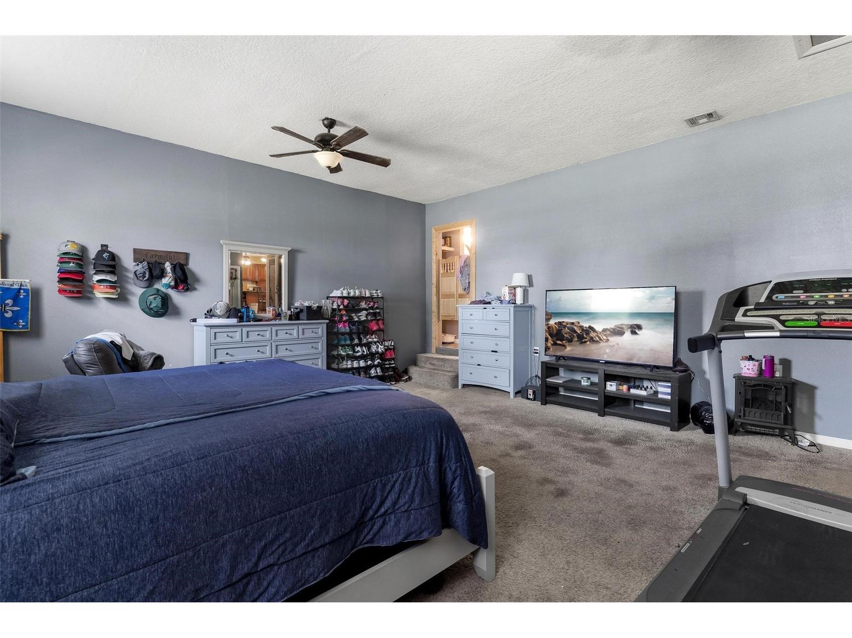 14407 Lake Junietta Drive Tavares FL 32778 G5112573 image18