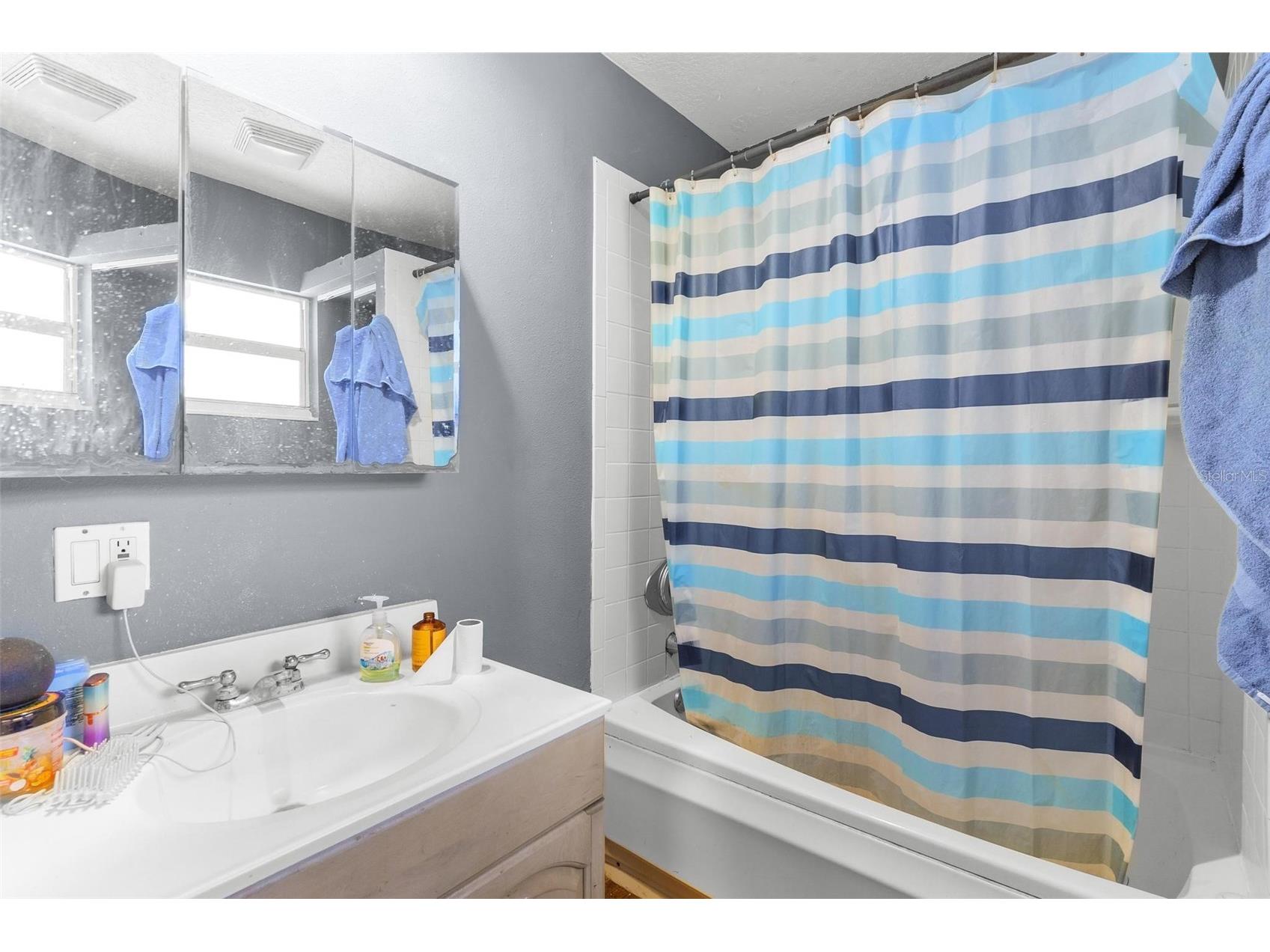 14407 Lake Junietta Drive Tavares FL 32778 G5112573 image24