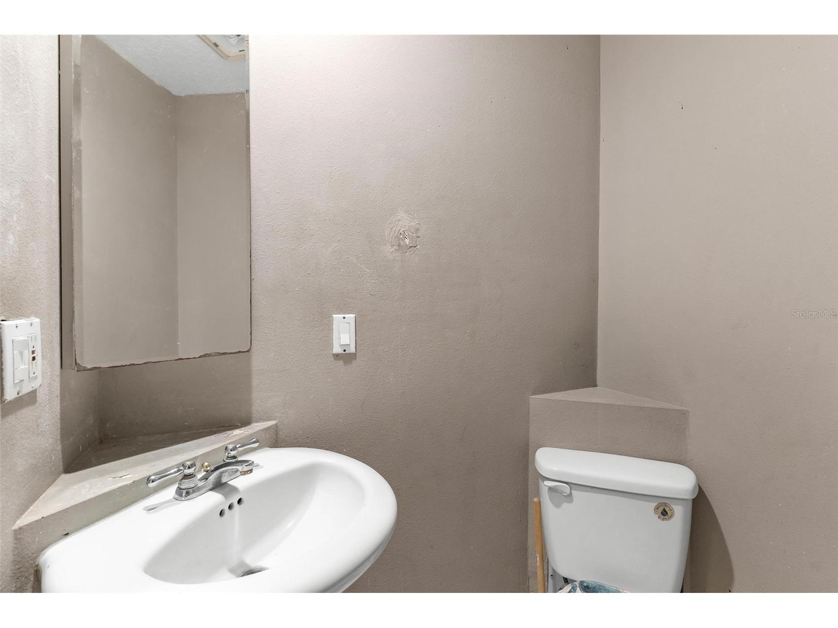 14407 Lake Junietta Drive Tavares FL 32778 G5112573 image27