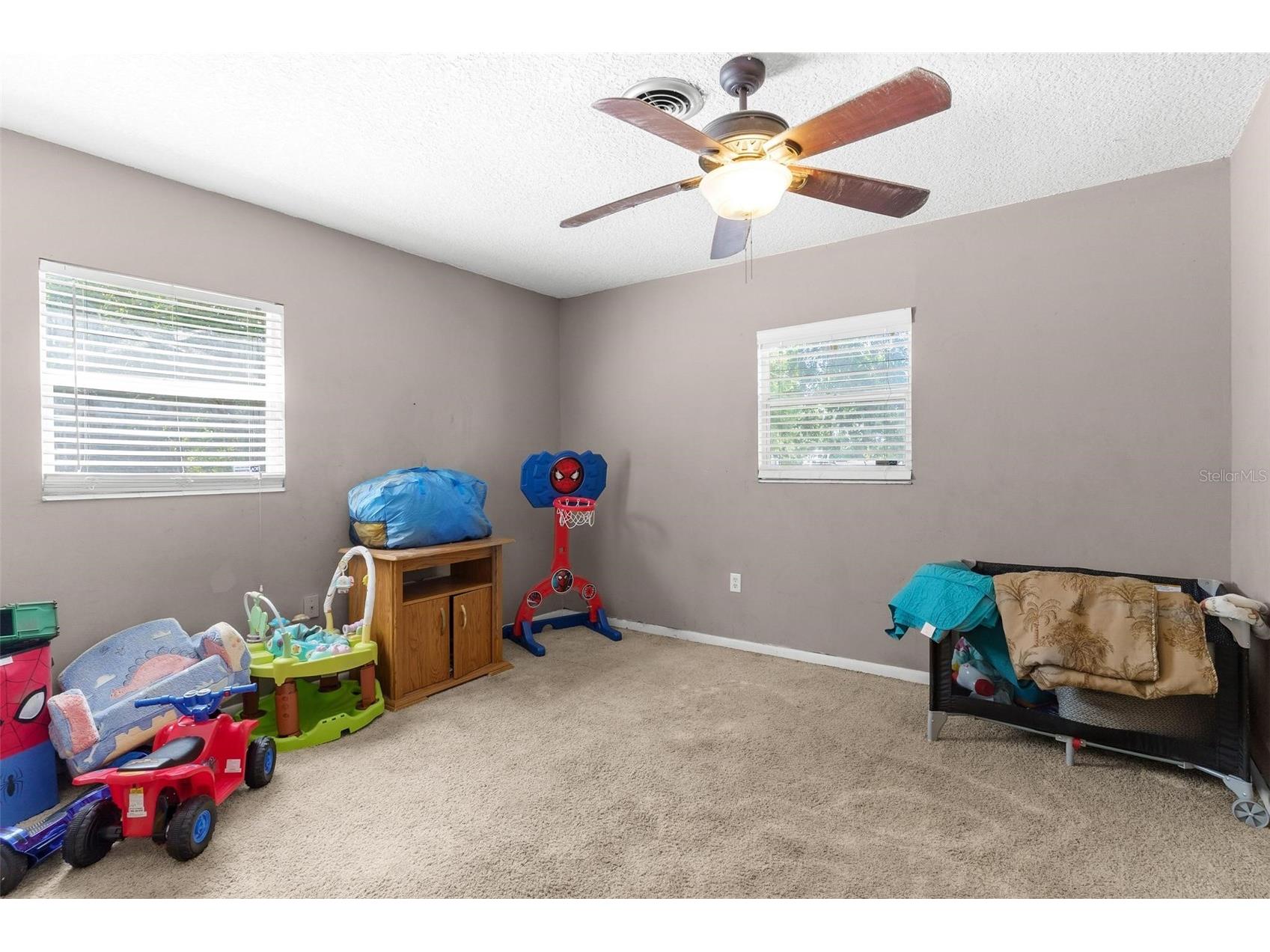 14407 Lake Junietta Drive Tavares FL 32778 G5112573 image28