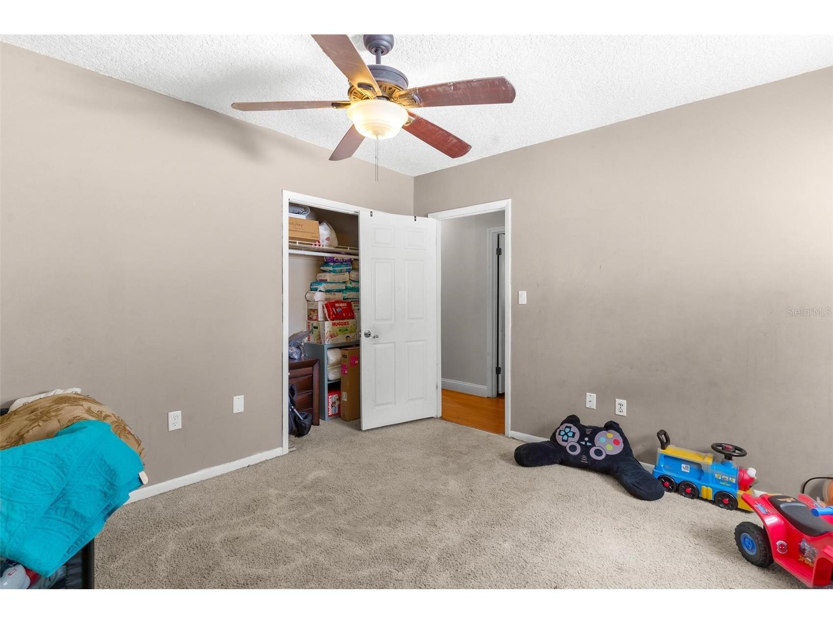 14407 Lake Junietta Drive Tavares FL 32778 G5112573 image29
