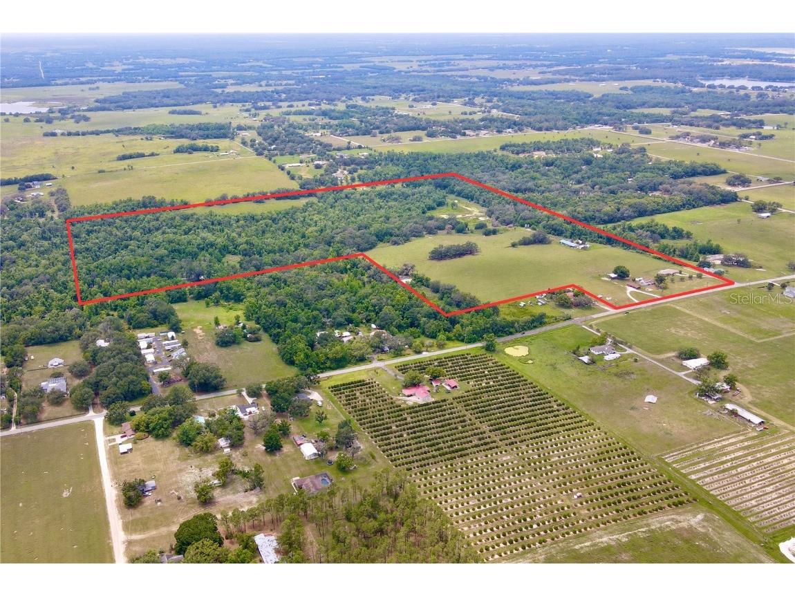 14409 Curley Road Dade City FL 33525 TB8388007 image1