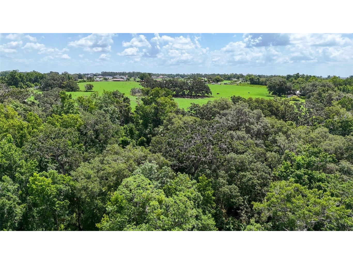 14409 Curley Road Dade City FL 33525 TB8388007 image10