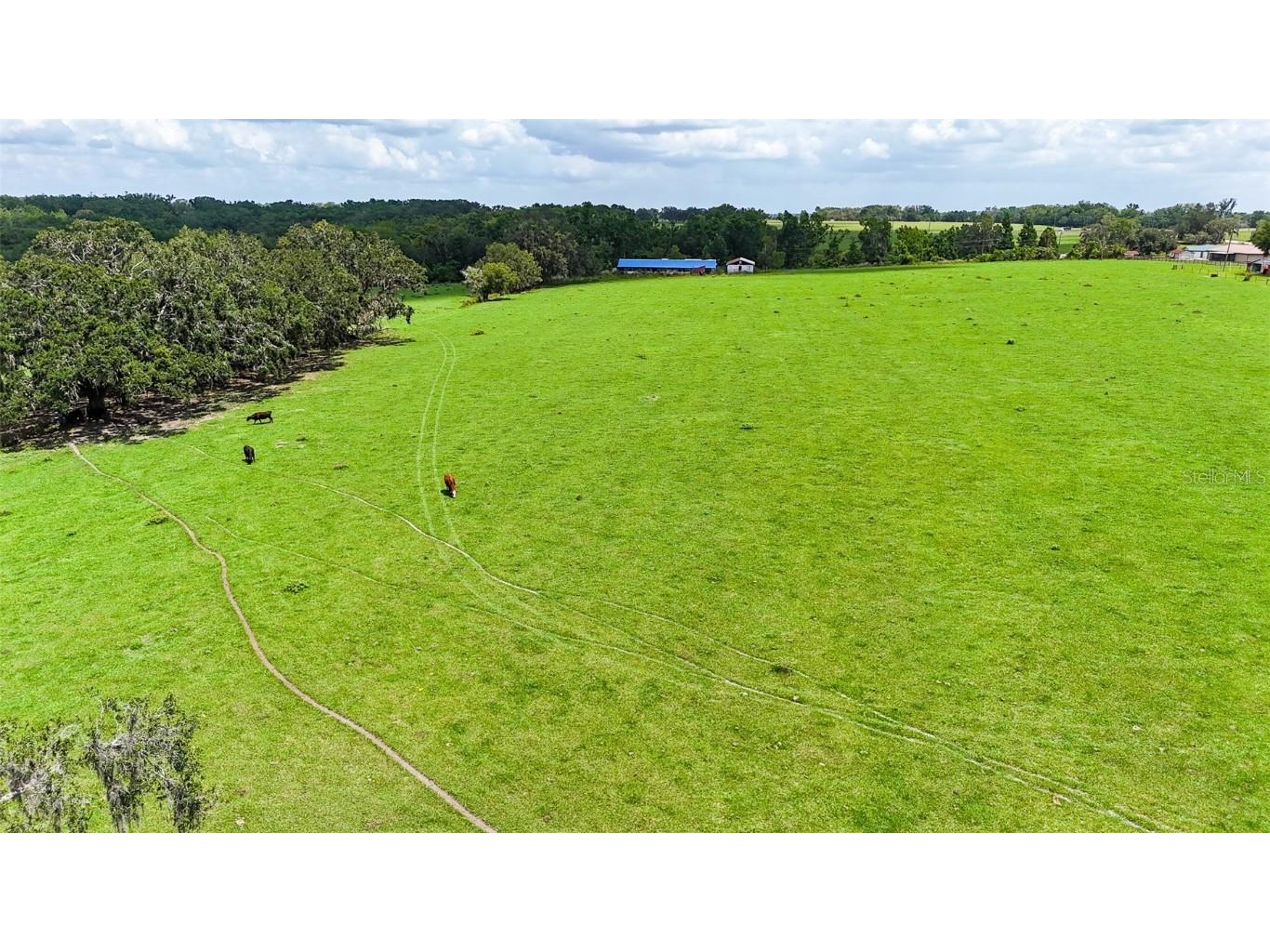 14409 Curley Road Dade City FL 33525 TB8388007 image12