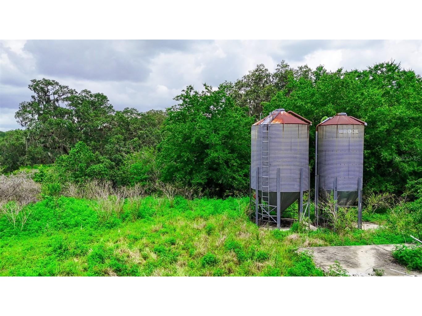 14409 Curley Road Dade City FL 33525 TB8388007 image13