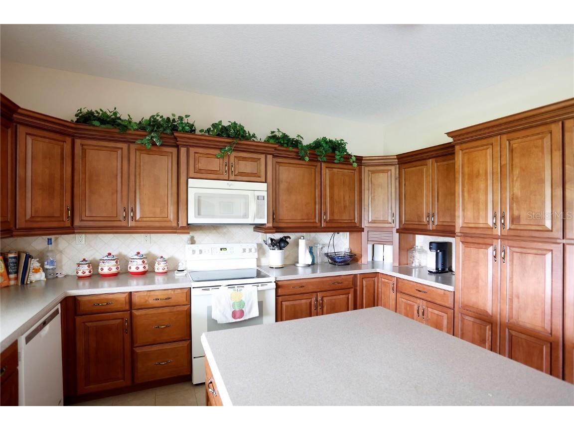 14409 Curley Road Dade City FL 33525 TB8388007 image25