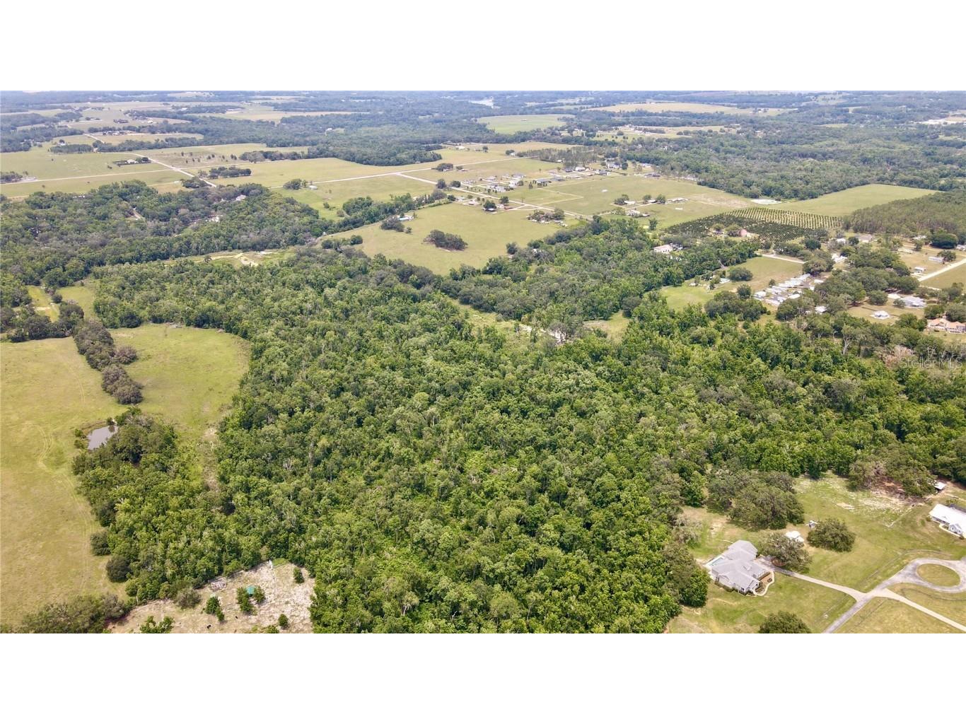 14409 Curley Road Dade City FL 33525 TB8388007 image6