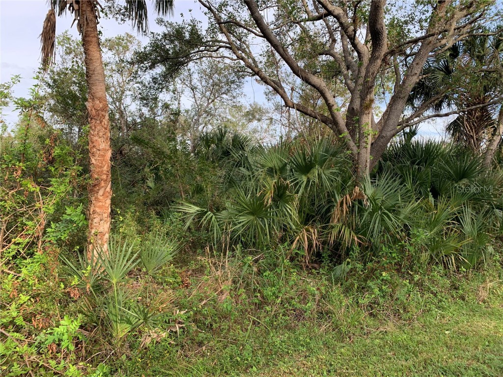 1441 Candy Lane Port Charlotte FL 33953 C7500703 image2