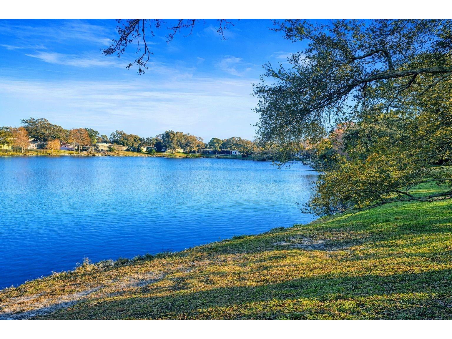 1441 Fairway Drive Dunedin FL 34698 TB8454036 image54