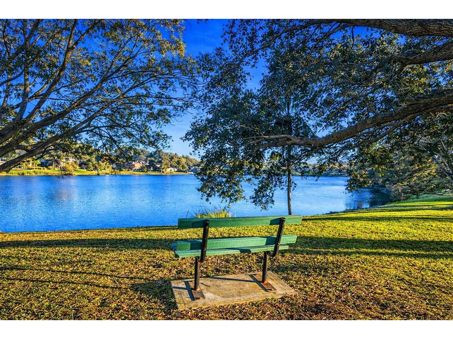 1441 Fairway Drive Dunedin FL 34698 TB8454036 image93