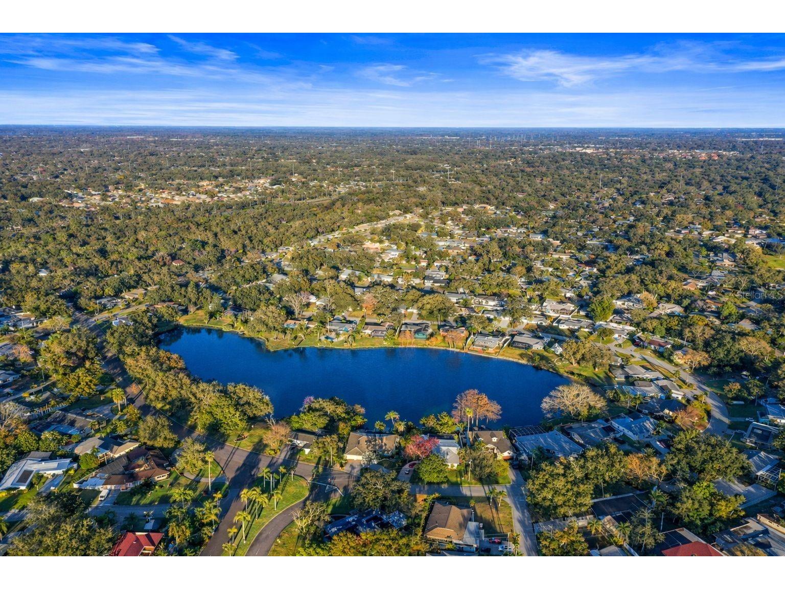 1441 Fairway Drive Dunedin FL 34698 TB8454036 image94