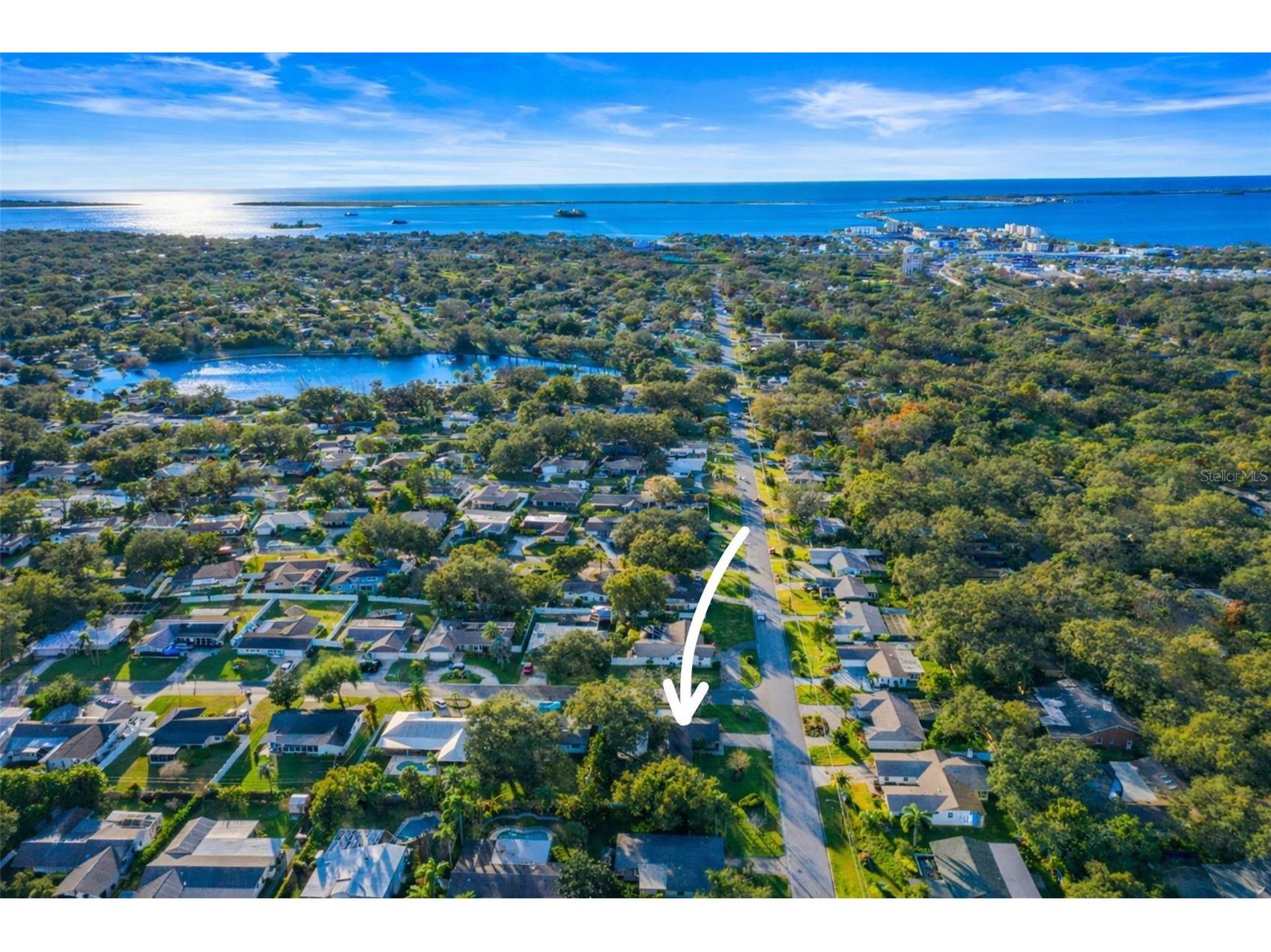 1441 Fairway Drive Dunedin FL 34698 TB8454036 image95