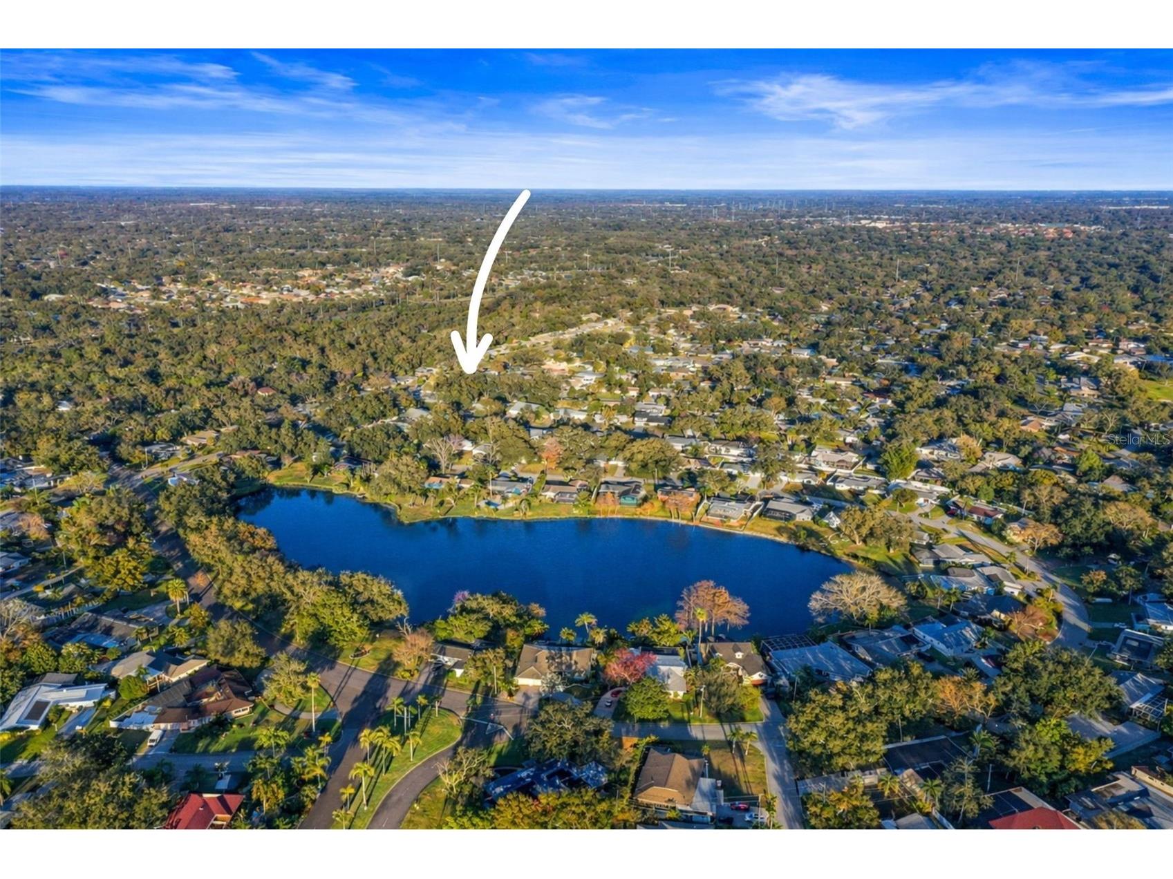 1441 Fairway Drive Dunedin FL 34698 TB8454036 image96