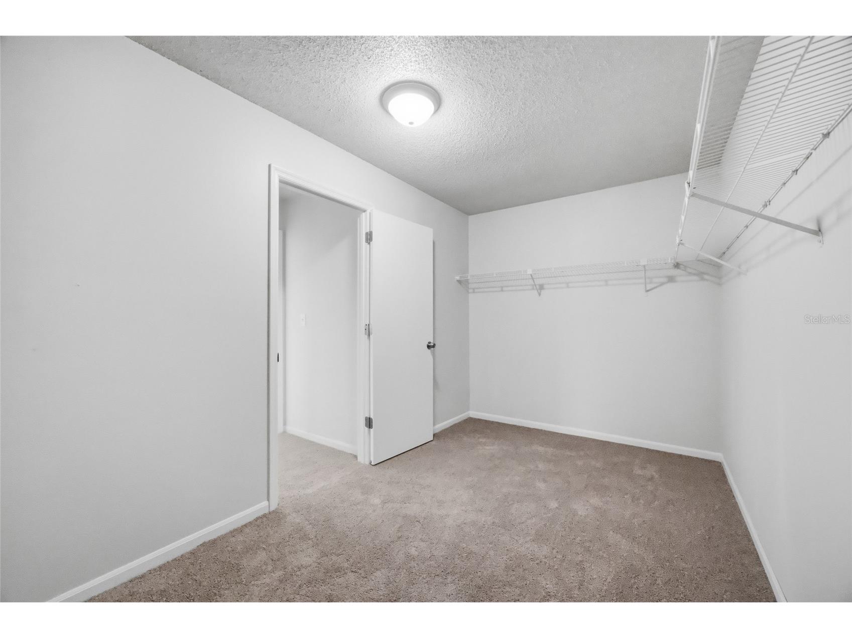 1441 Monte Lake Drive Valrico FL 33596 TB8503758 image19