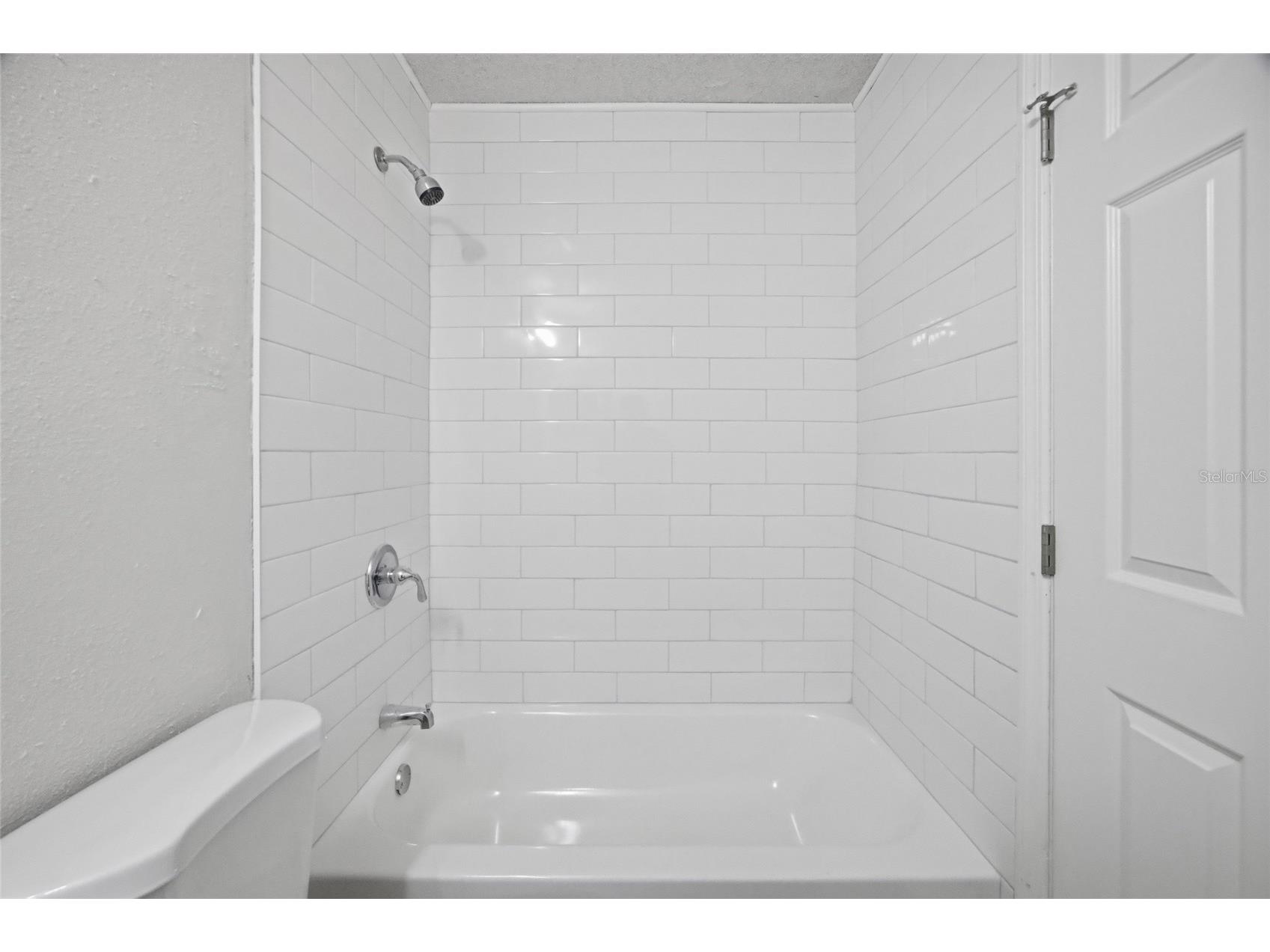 1441 Monte Lake Drive Valrico FL 33596 TB8503758 image21