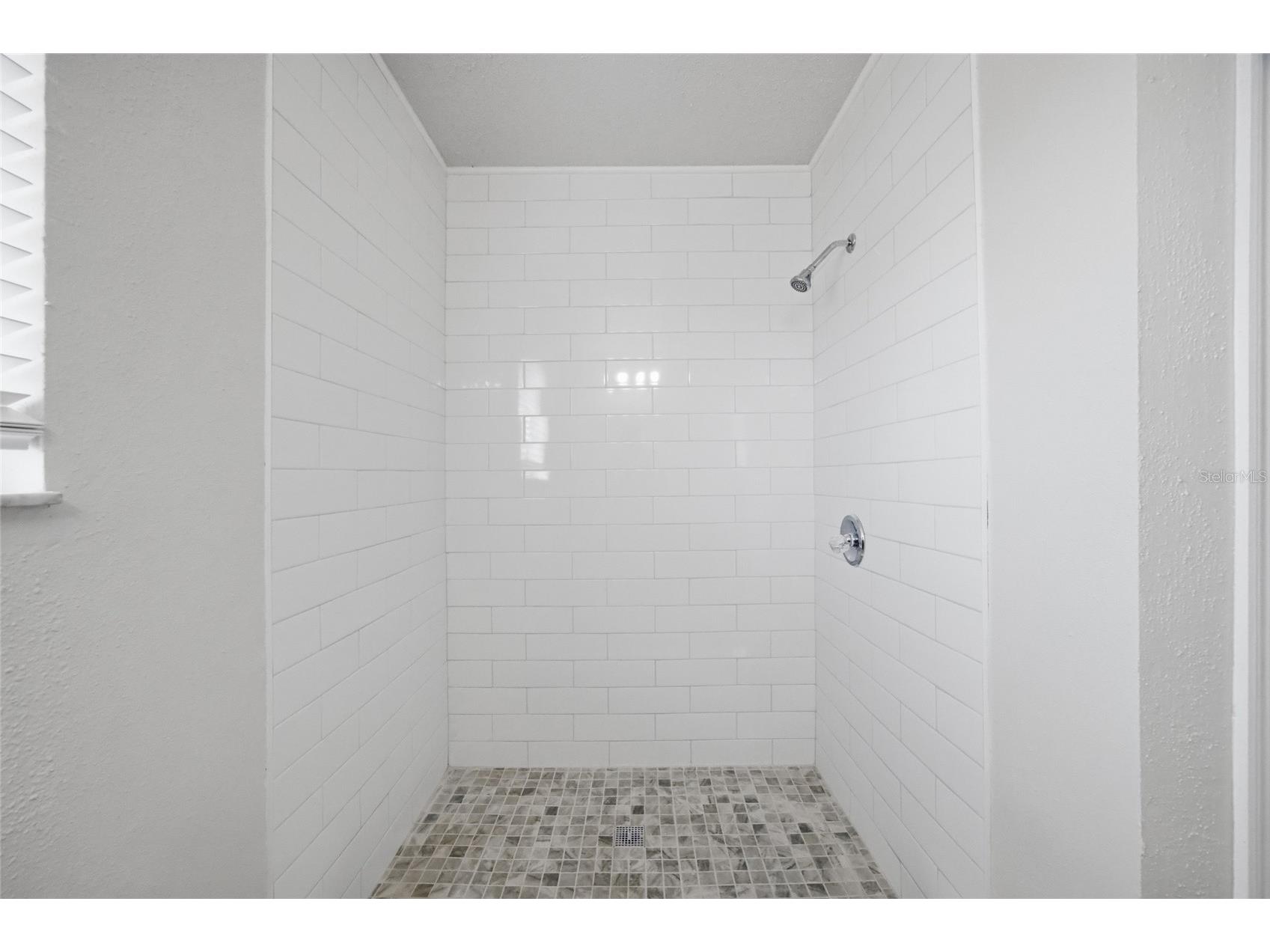 1441 Monte Lake Drive Valrico FL 33596 TB8503758 image25