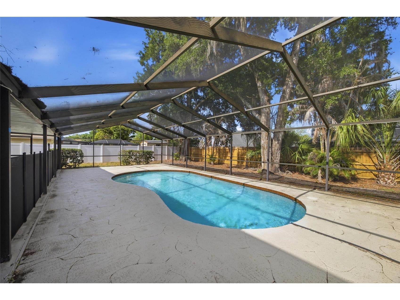 1441 Monte Lake Drive Valrico FL 33596 TB8503758 image32