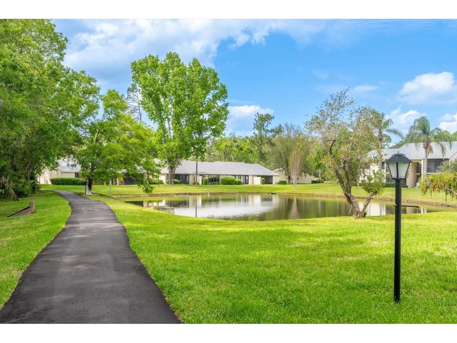 1441 Pine Glen Lane #E2 Tarpon Springs FL 34688 TB8491585 image24