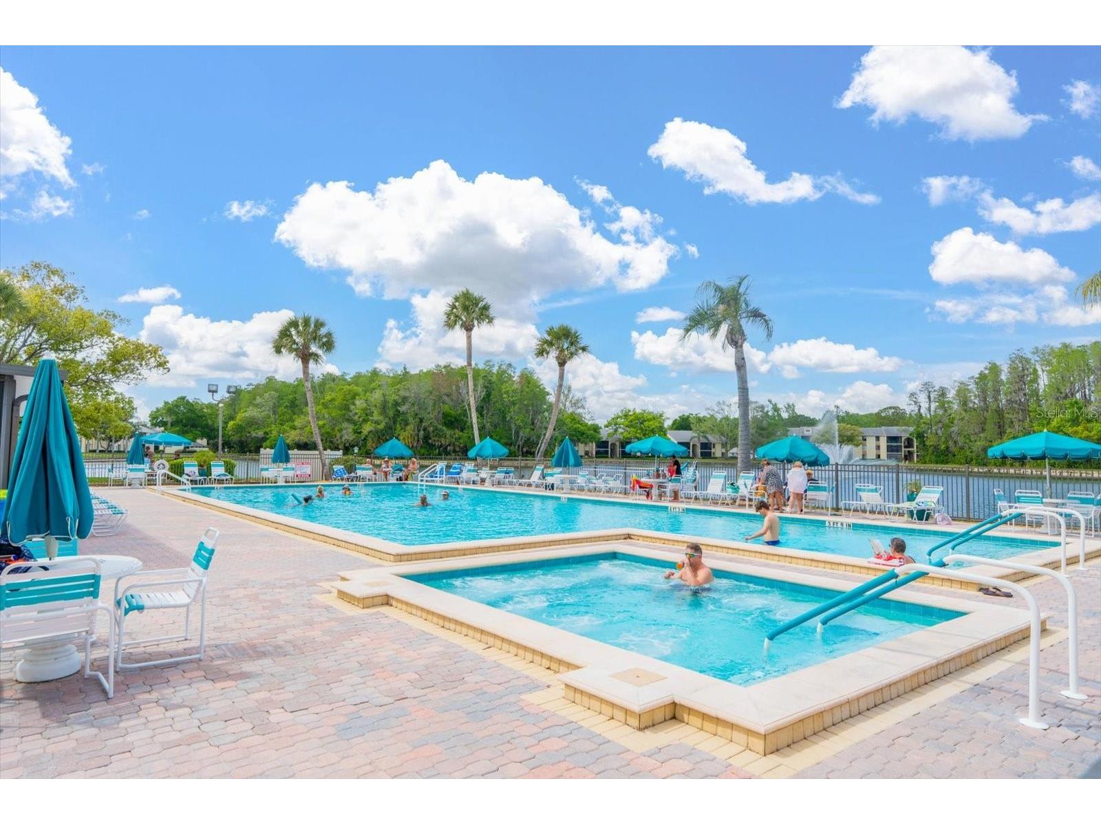 1441 Pine Glen Lane #E2 Tarpon Springs FL 34688 TB8491585 image25