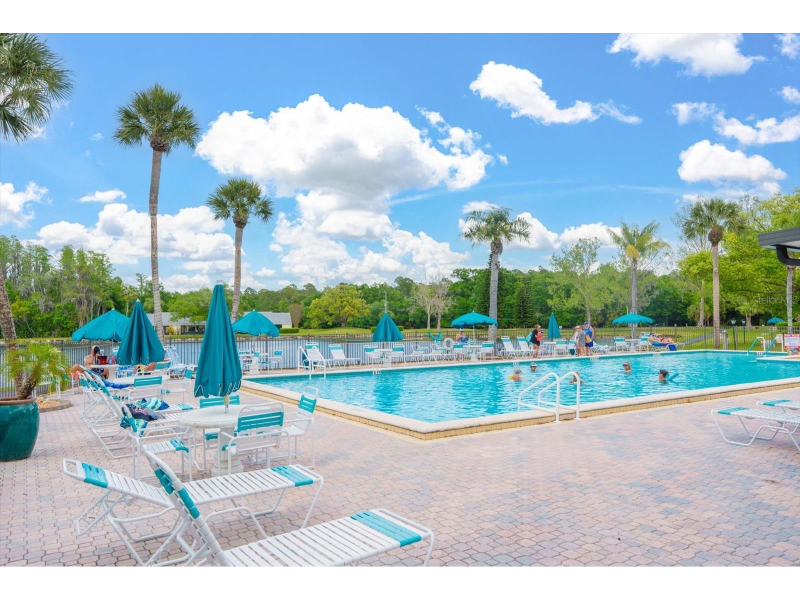 1441 Pine Glen Lane #E2 Tarpon Springs FL 34688 TB8491585 image26